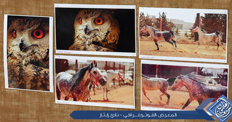 صورة الخبر