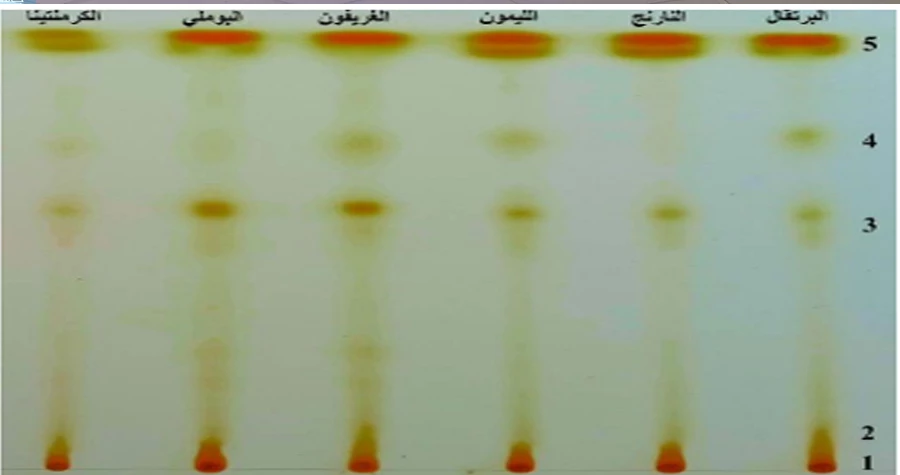 استثمار قشور الحمضيات كمصدر للمواد الفعالة: دراسة علمية في جامعة دمشق